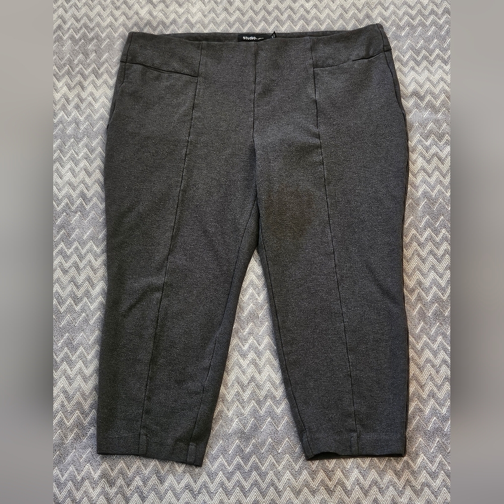 Studio by TORRID PANTS